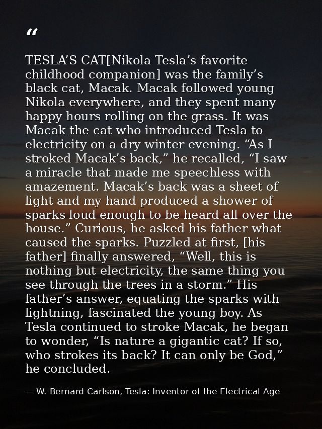TESLA’S CAT[Nikola Tesla’s favorite childhood companion] was the family’s black cat, Macak. Macak followed young Nikola  — W. Bernard Carlson, Tesla: Inventor of the Electrical Age