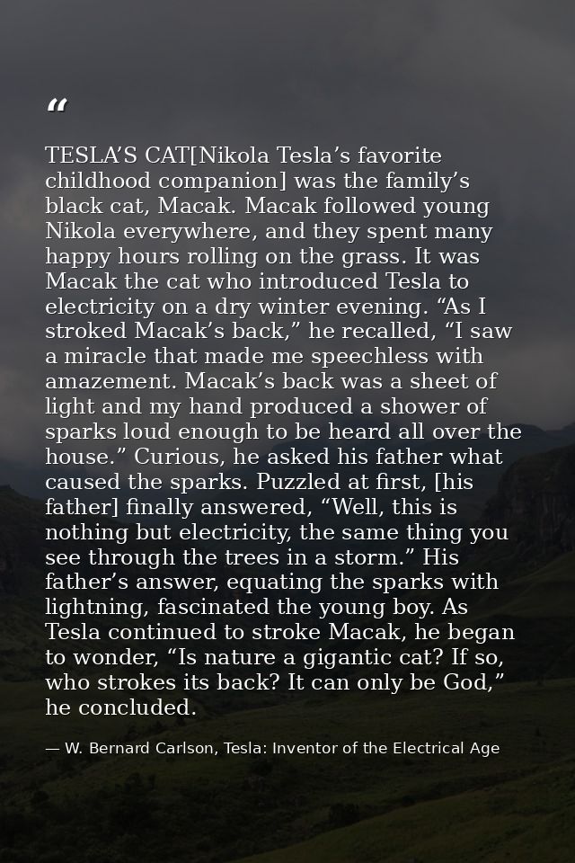 TESLA’S CAT[Nikola Tesla’s favorite childhood companion] was the family’s black cat, Macak. Macak followed young Nikola  — W. Bernard Carlson, Tesla: Inventor of the Electrical Age