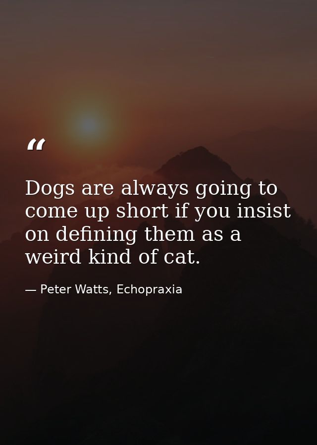 Dogs are always going to come up short if you insist on defining them as a weird kind of cat. — Peter Watts, Echopraxia