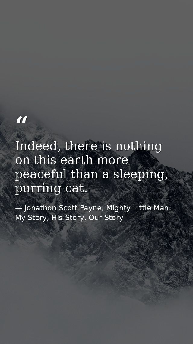 Indeed, there is nothing on this earth more peaceful than a sleeping, purring cat. — Jonathon Scott Payne, Mighty Little Man: My Story, His Story, Our Story