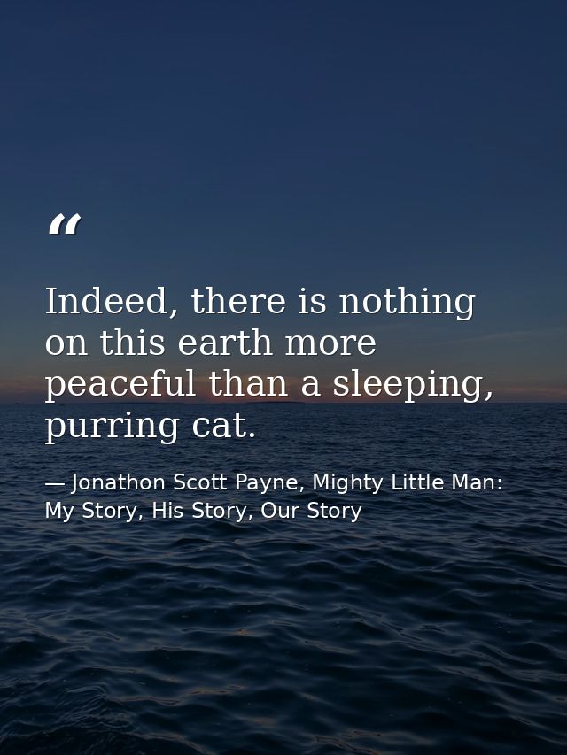 Indeed, there is nothing on this earth more peaceful than a sleeping, purring cat. — Jonathon Scott Payne, Mighty Little Man: My Story, His Story, Our Story