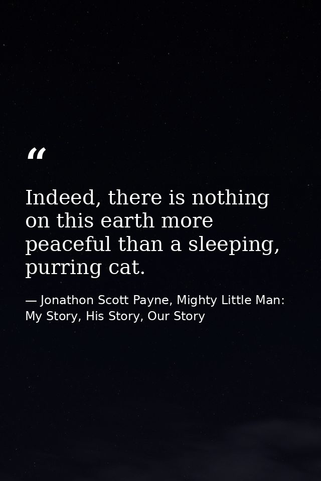 Indeed, there is nothing on this earth more peaceful than a sleeping, purring cat. — Jonathon Scott Payne, Mighty Little Man: My Story, His Story, Our Story