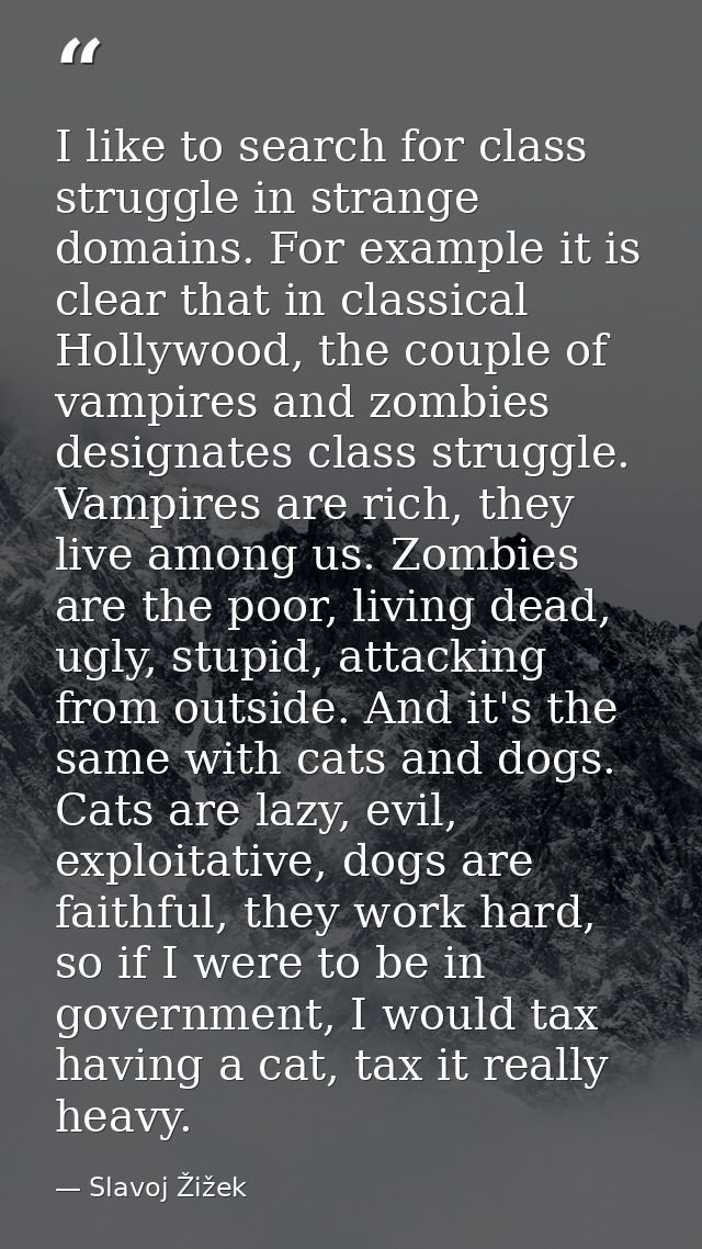 I like to search for class struggle in strange domains. For example it is clear that in classical Hollywood, the couple  — Slavoj Žižek