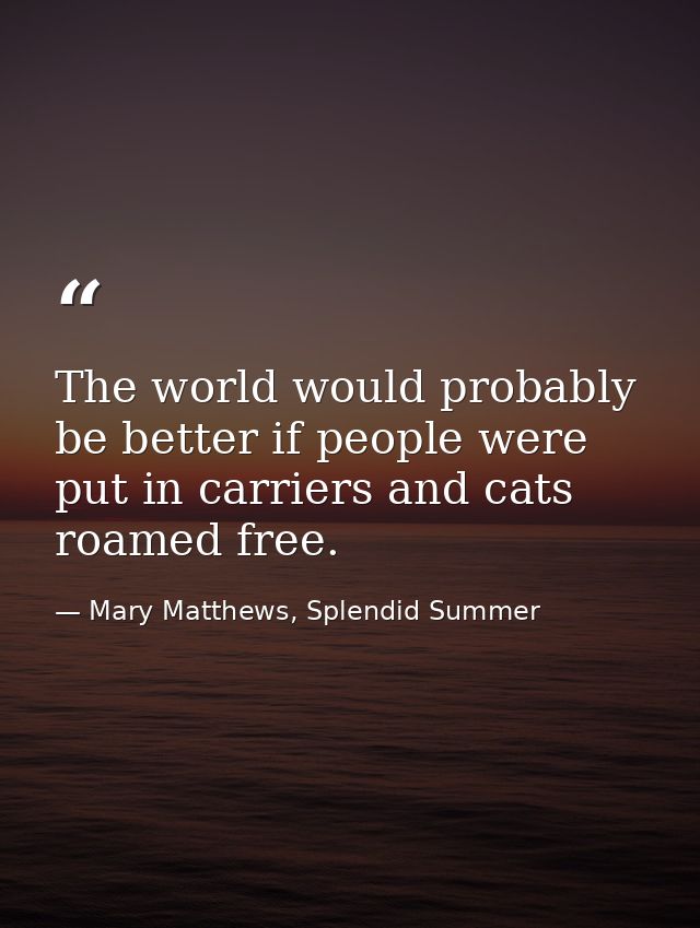 The world would probably be better if people were put in carriers and cats roamed free. — Mary Matthews, Splendid Summer