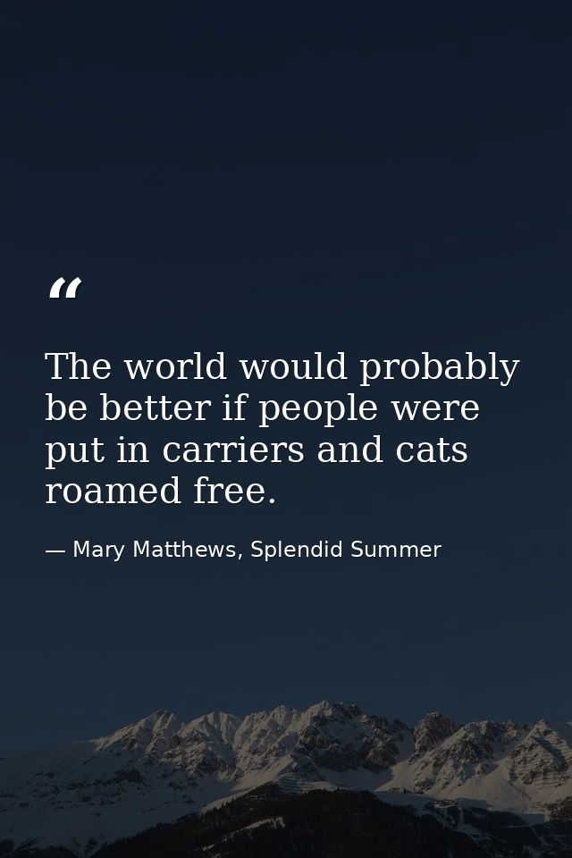 The world would probably be better if people were put in carriers and cats roamed free. — Mary Matthews, Splendid Summer