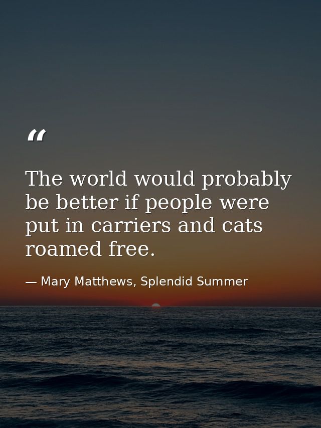 The world would probably be better if people were put in carriers and cats roamed free. — Mary Matthews, Splendid Summer