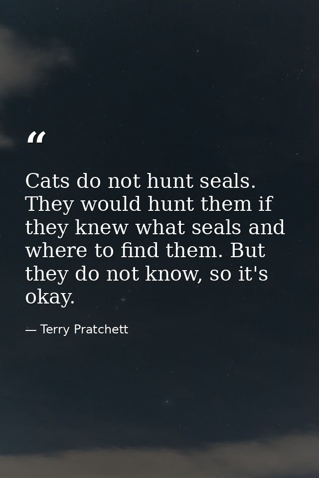 Cats do not hunt seals. They would hunt them if they knew what seals and where to find them. But they do not know, so it — Terry Pratchett