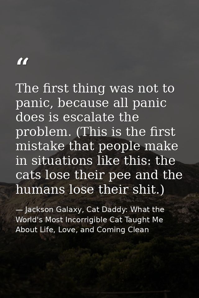 The first thing was not to panic, because all panic does is escalate the problem. (This is the first mistake that people — Jackson Galaxy, Cat Daddy: What the World's Most Incorrigible Cat Taught Me About Life, Love, and Coming Clean