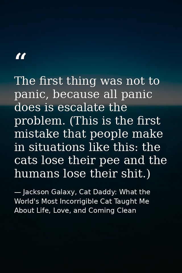 The first thing was not to panic, because all panic does is escalate the problem. (This is the first mistake that people — Jackson Galaxy, Cat Daddy: What the World's Most Incorrigible Cat Taught Me About Life, Love, and Coming Clean