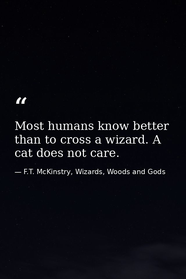 Most humans know better than to cross a wizard. A cat does not care. — F.T. McKinstry, Wizards, Woods and Gods