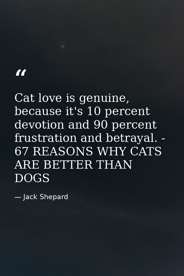 Cat love is genuine, because it's 10 percent devotion and 90 percent frustration and betrayal. - 67 REASONS WHY CATS ARE — Jack Shepard