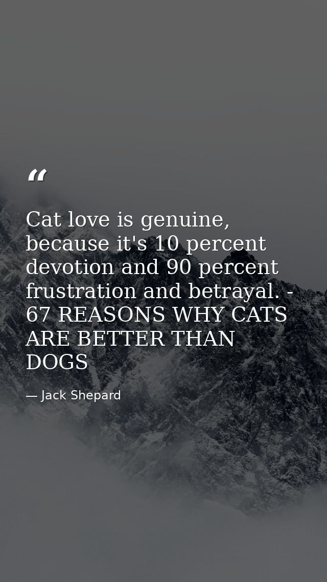 Cat love is genuine, because it's 10 percent devotion and 90 percent frustration and betrayal. - 67 REASONS WHY CATS ARE — Jack Shepard