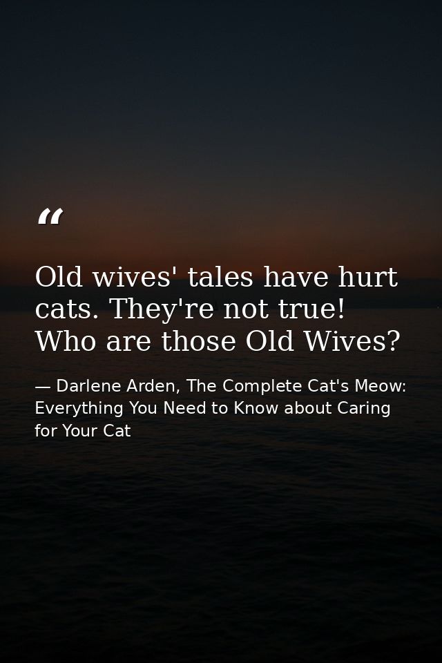 Old wives' tales have hurt cats. They're not true! Who are those Old Wives? — Darlene Arden, The Complete Cat's Meow: Everything You Need to Know about Caring for Your Cat
