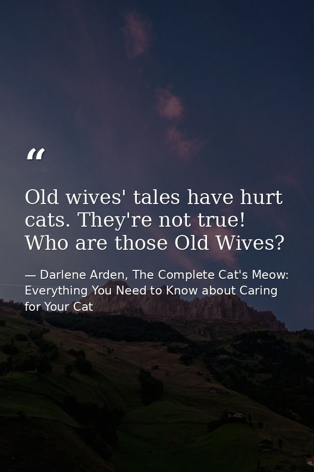 Old wives' tales have hurt cats. They're not true! Who are those Old Wives? — Darlene Arden, The Complete Cat's Meow: Everything You Need to Know about Caring for Your Cat