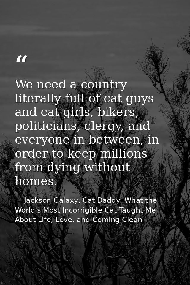 We need a country literally full of cat guys and cat girls, bikers, politicians, clergy, and everyone in between, in ord — Jackson Galaxy, Cat Daddy: What the World's Most Incorrigible Cat Taught Me About Life, Love, and Coming Clean