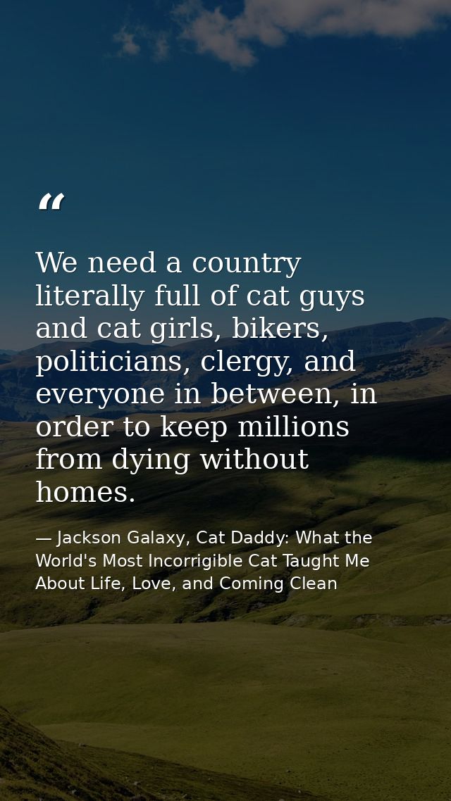 We need a country literally full of cat guys and cat girls, bikers, politicians, clergy, and everyone in between, in ord — Jackson Galaxy, Cat Daddy: What the World's Most Incorrigible Cat Taught Me About Life, Love, and Coming Clean