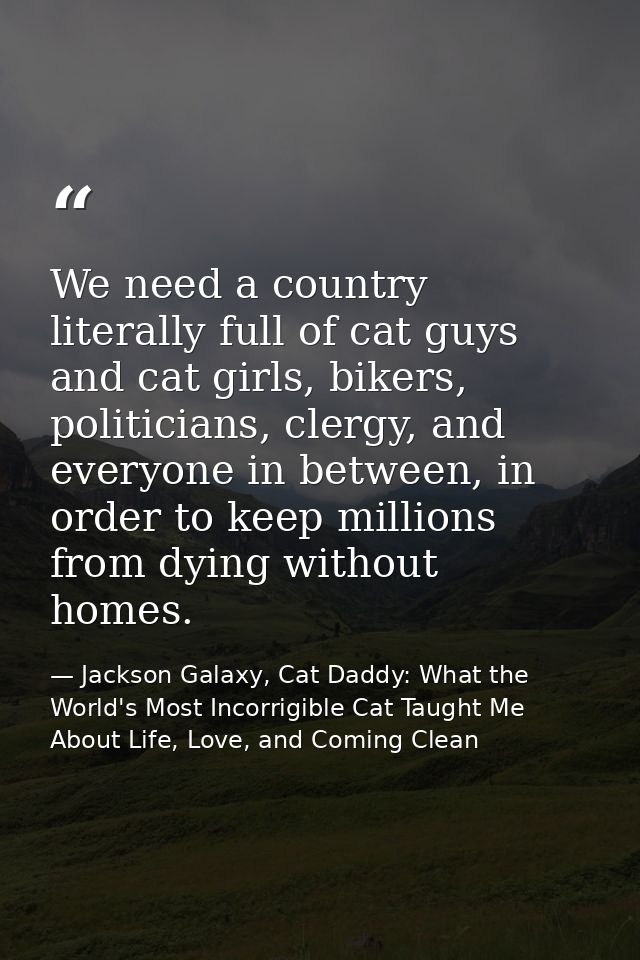 We need a country literally full of cat guys and cat girls, bikers, politicians, clergy, and everyone in between, in ord — Jackson Galaxy, Cat Daddy: What the World's Most Incorrigible Cat Taught Me About Life, Love, and Coming Clean