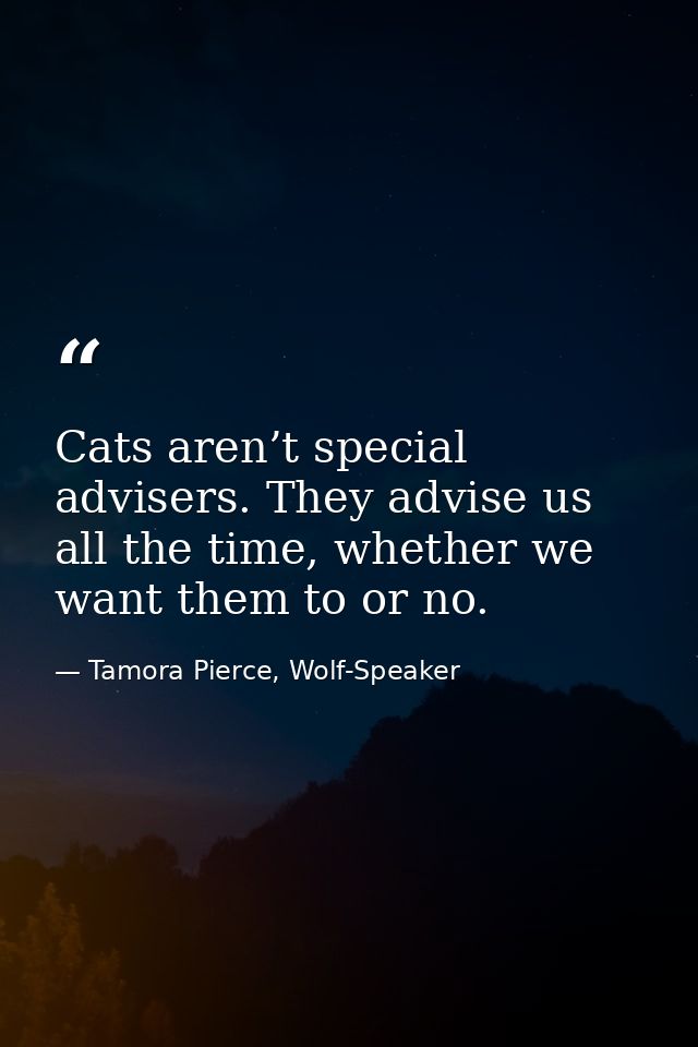 Cats aren’t special advisers. They advise us all the time, whether we want them to or no. — Tamora Pierce, Wolf-Speaker