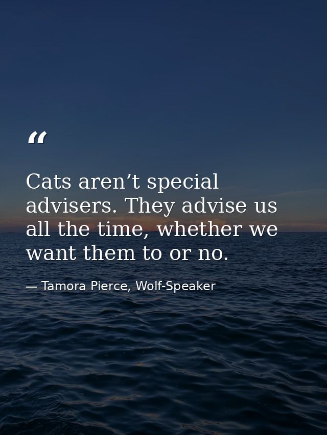 Cats aren’t special advisers. They advise us all the time, whether we want them to or no. — Tamora Pierce, Wolf-Speaker