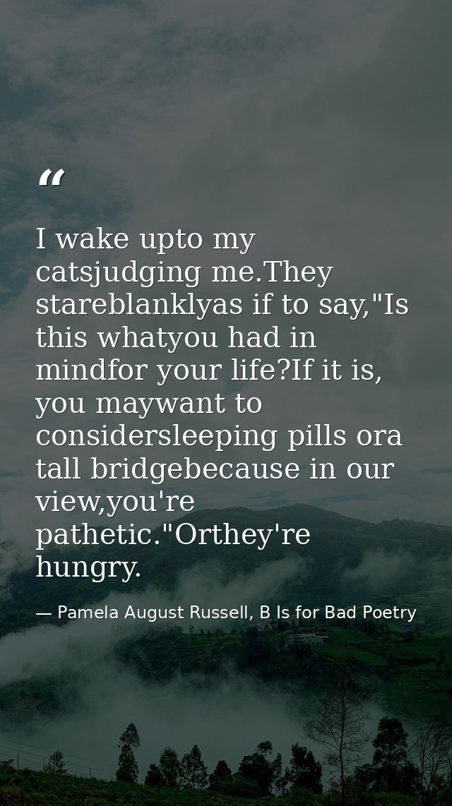 I wake upto my catsjudging me.They stareblanklyas if to say,"Is this whatyou had in mindfor your life?If it is, you mayw — Pamela August Russell, B Is for Bad Poetry