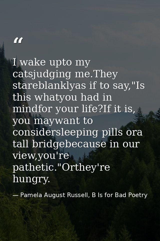 I wake upto my catsjudging me.They stareblanklyas if to say,"Is this whatyou had in mindfor your life?If it is, you mayw — Pamela August Russell, B Is for Bad Poetry