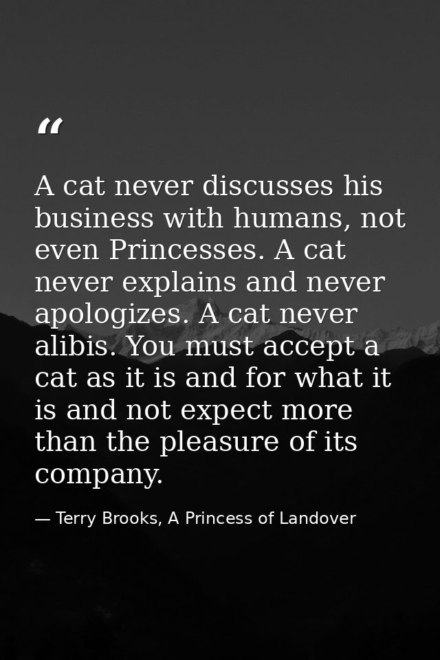A cat never discusses his business with humans, not even Princesses. A cat never explains and never apologizes. A cat ne — Terry Brooks, A Princess of Landover