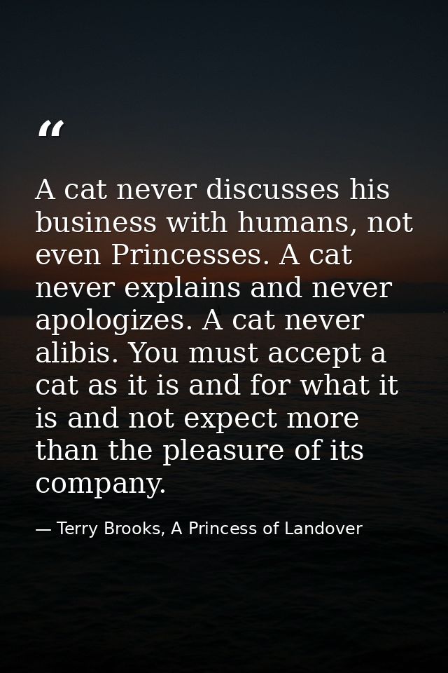 A cat never discusses his business with humans, not even Princesses. A cat never explains and never apologizes. A cat ne — Terry Brooks, A Princess of Landover