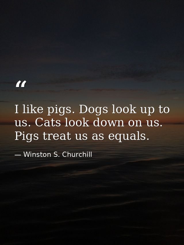 I like pigs. Dogs look up to us. Cats look down on us. Pigs treat us as equals. — Winston S. Churchill