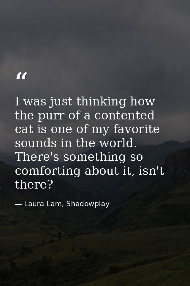 I was just thinking how the purr of a contented cat is one of my favorite sounds in the world. There's something so comf — Laura Lam, Shadowplay