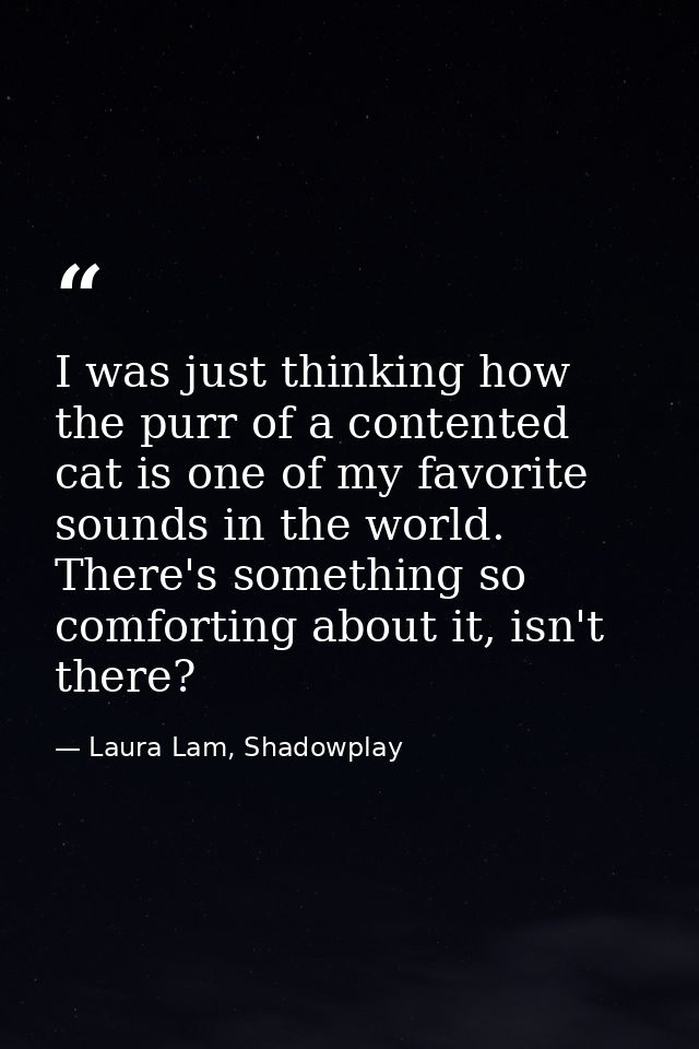 I was just thinking how the purr of a contented cat is one of my favorite sounds in the world. There's something so comf — Laura Lam, Shadowplay