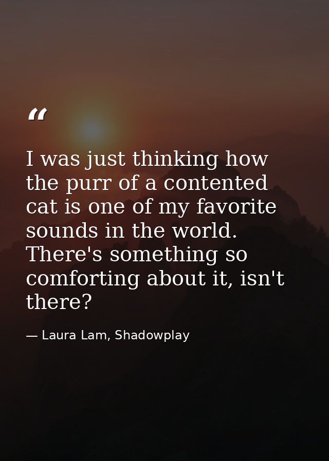 I was just thinking how the purr of a contented cat is one of my favorite sounds in the world. There's something so comf — Laura Lam, Shadowplay