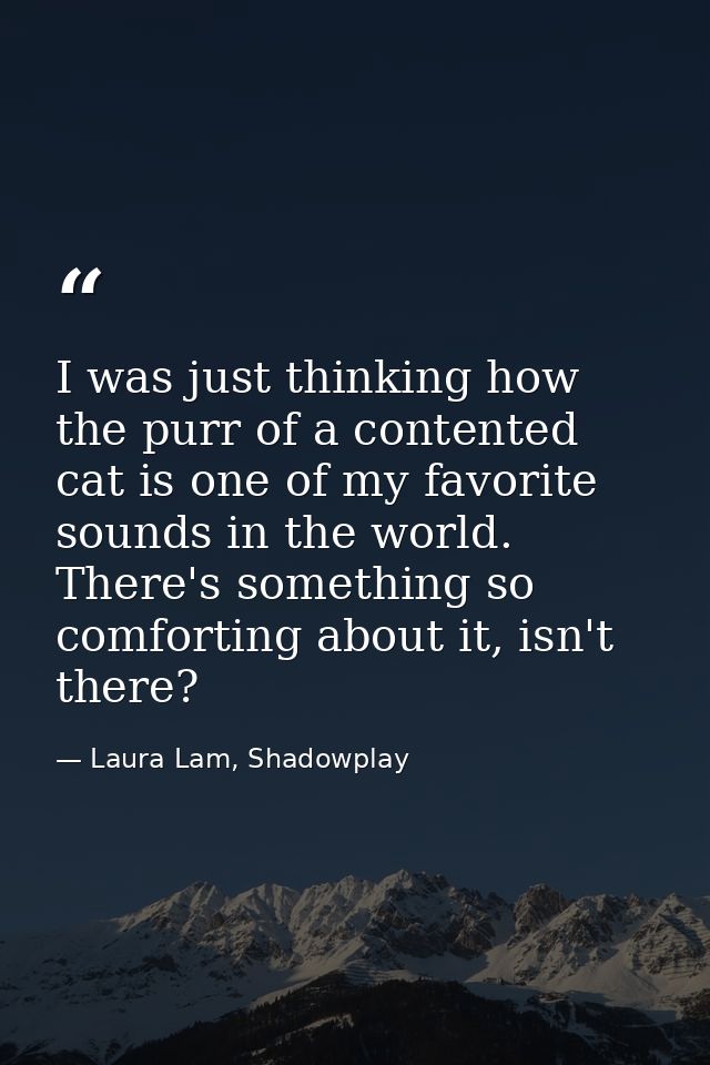 I was just thinking how the purr of a contented cat is one of my favorite sounds in the world. There's something so comf — Laura Lam, Shadowplay