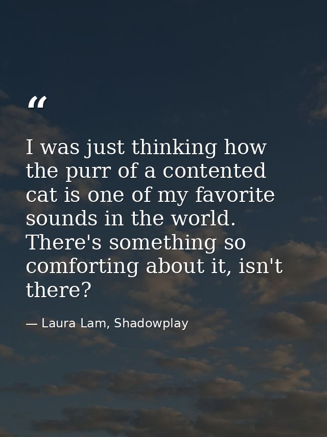 I was just thinking how the purr of a contented cat is one of my favorite sounds in the world. There's something so comf — Laura Lam, Shadowplay