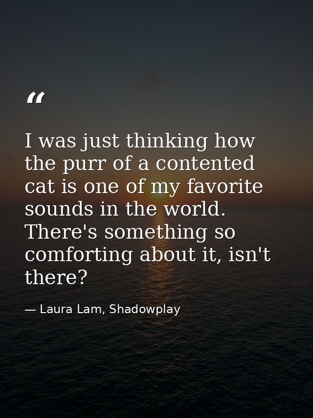 I was just thinking how the purr of a contented cat is one of my favorite sounds in the world. There's something so comf — Laura Lam, Shadowplay