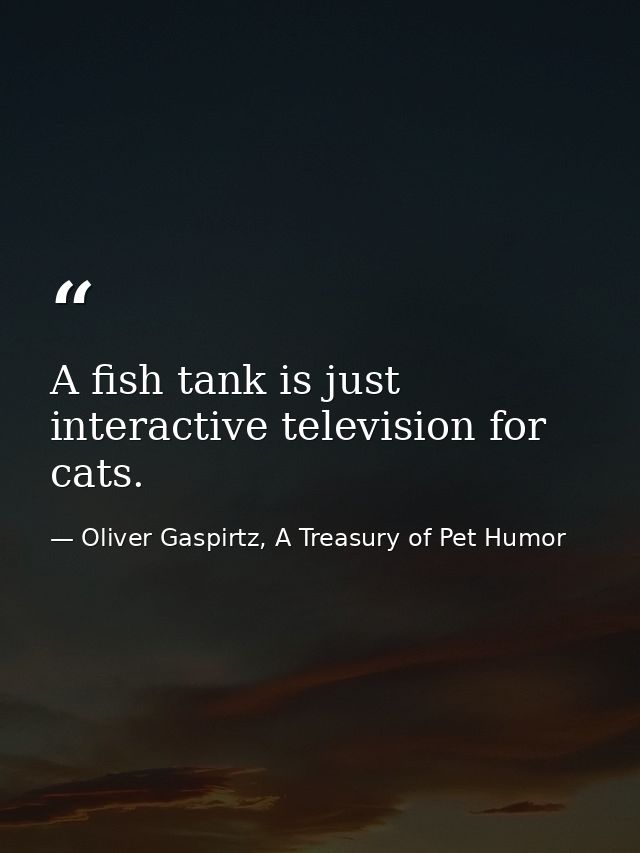 A fish tank is just interactive television for cats. — Oliver Gaspirtz, A Treasury of Pet Humor