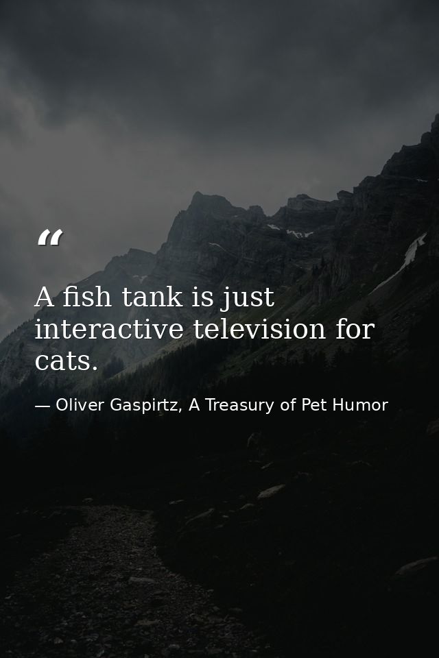 A fish tank is just interactive television for cats. — Oliver Gaspirtz, A Treasury of Pet Humor