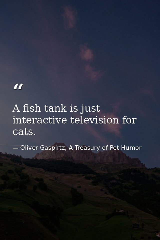 A fish tank is just interactive television for cats. — Oliver Gaspirtz, A Treasury of Pet Humor