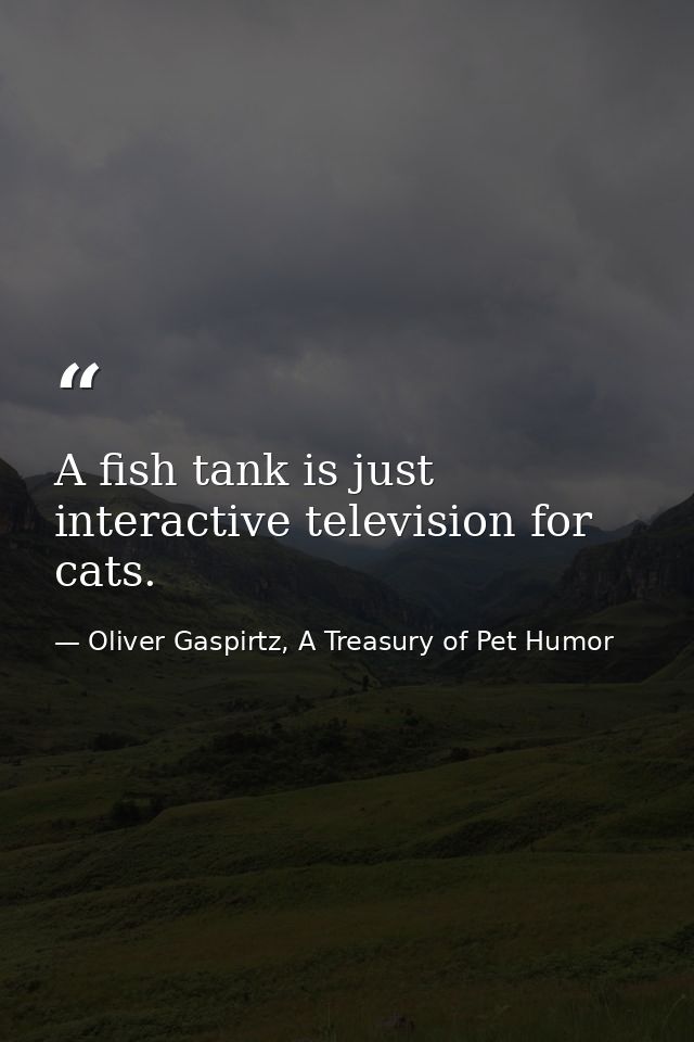 A fish tank is just interactive television for cats. — Oliver Gaspirtz, A Treasury of Pet Humor
