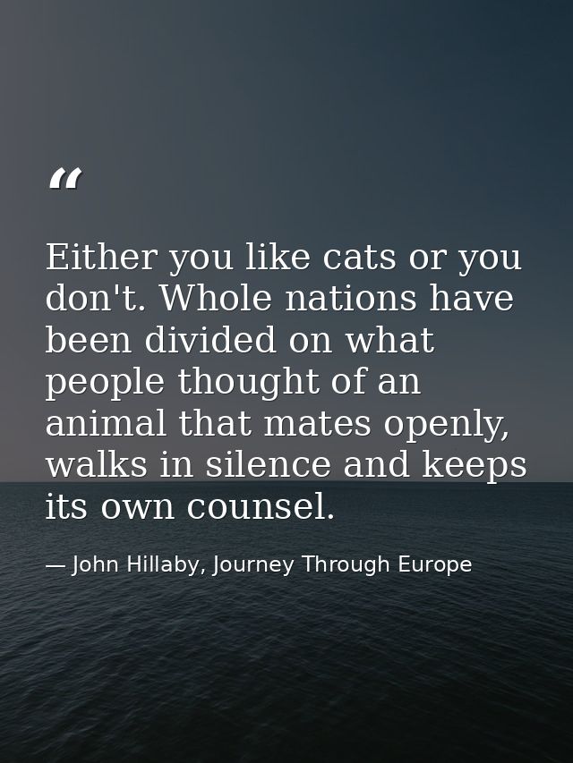 Either you like cats or you don't. Whole nations have been divided on what people thought of an animal that mates openly — John Hillaby, Journey Through Europe