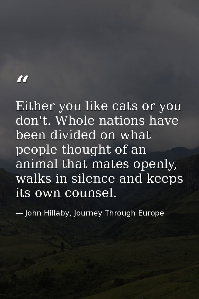 Either you like cats or you don't. Whole nations have been divided on what people thought of an animal that mates openly — John Hillaby, Journey Through Europe