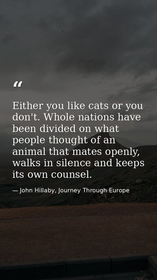 Either you like cats or you don't. Whole nations have been divided on what people thought of an animal that mates openly — John Hillaby, Journey Through Europe