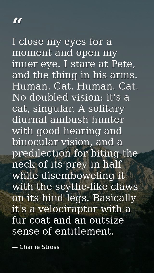 I close my eyes for a moment and open my inner eye. I stare at Pete, and the thing in his arms. Human. Cat. Human. Cat.  — Charlie Stross