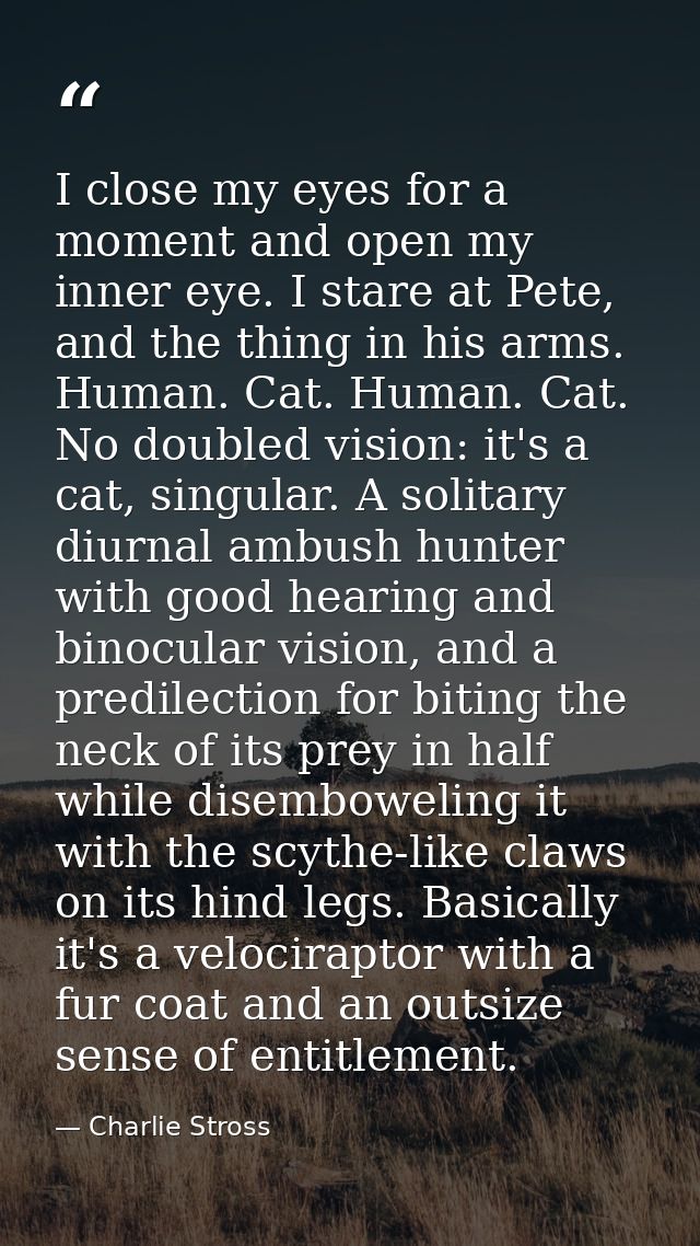 I close my eyes for a moment and open my inner eye. I stare at Pete, and the thing in his arms. Human. Cat. Human. Cat.  — Charlie Stross
