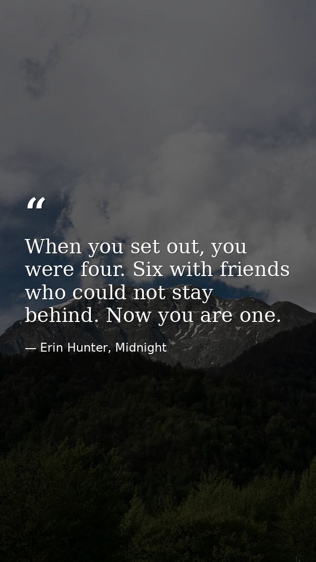 When you set out, you were four. Six with friends who could not stay behind. Now you are one. — Erin Hunter, Midnight