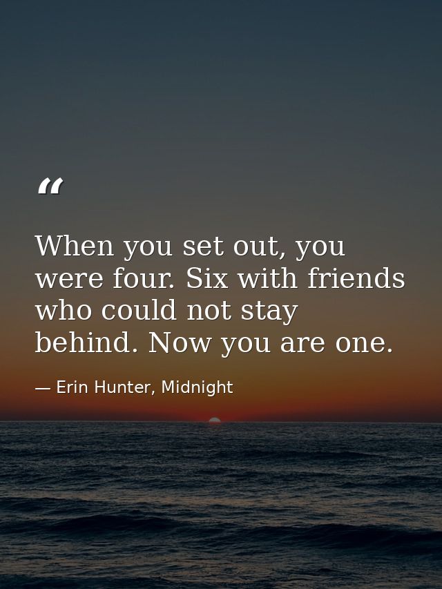 When you set out, you were four. Six with friends who could not stay behind. Now you are one. — Erin Hunter, Midnight