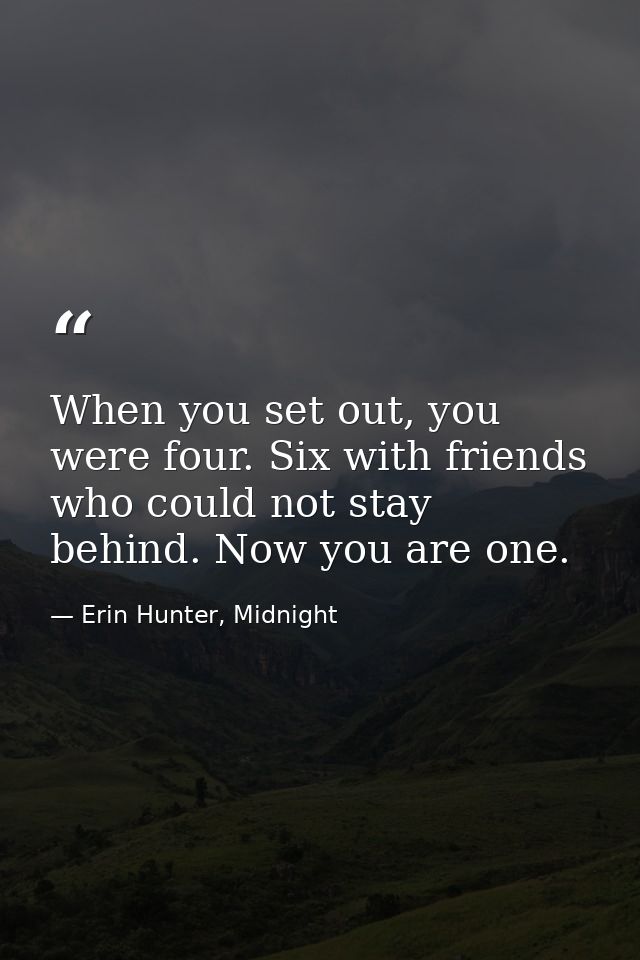 When you set out, you were four. Six with friends who could not stay behind. Now you are one. — Erin Hunter, Midnight