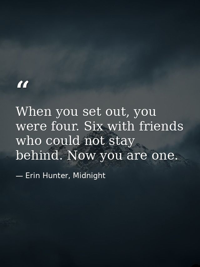 When you set out, you were four. Six with friends who could not stay behind. Now you are one. — Erin Hunter, Midnight
