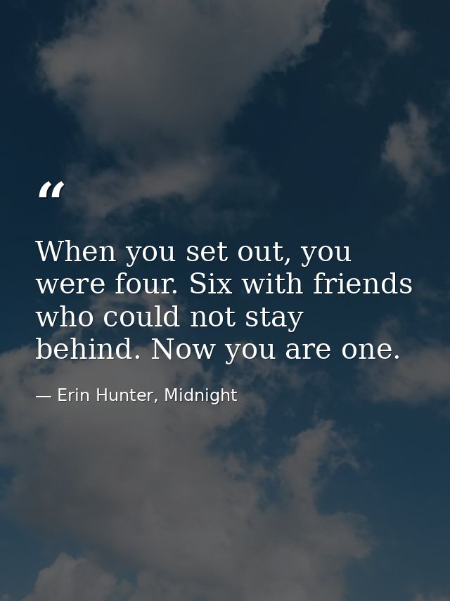 When you set out, you were four. Six with friends who could not stay behind. Now you are one. — Erin Hunter, Midnight