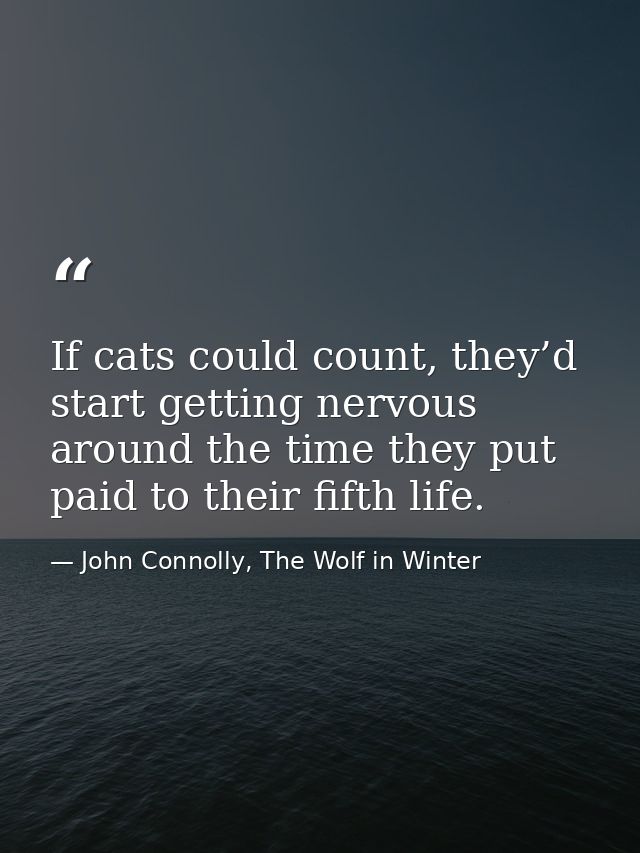 If cats could count, they’d start getting nervous around the time they put paid to their fifth life. — John Connolly, The Wolf in Winter