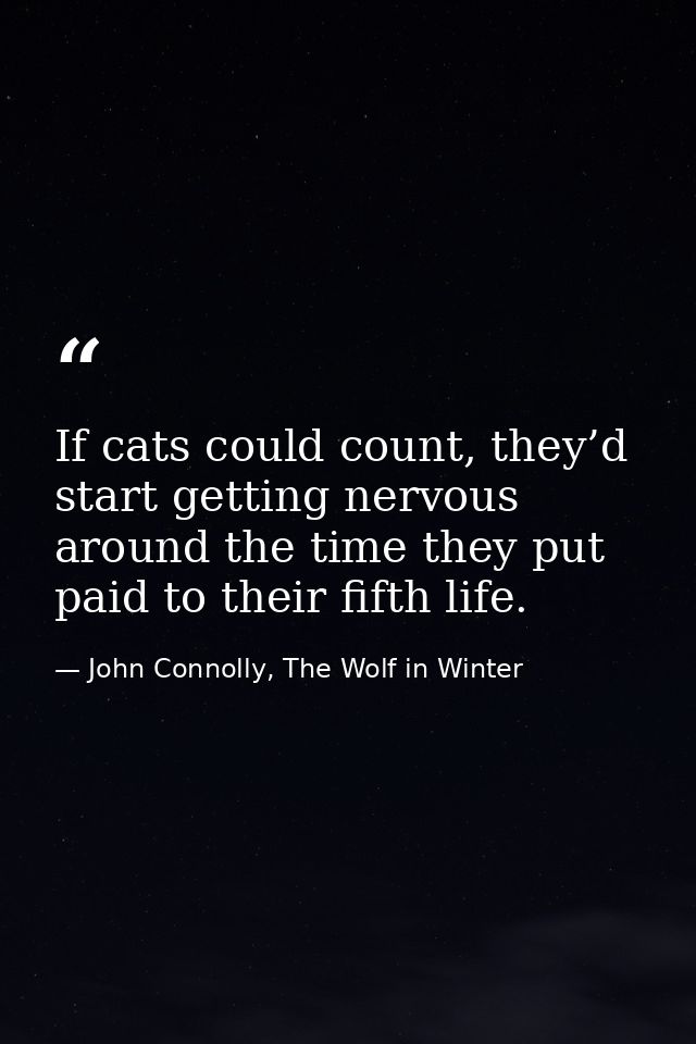 If cats could count, they’d start getting nervous around the time they put paid to their fifth life. — John Connolly, The Wolf in Winter